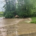 Gewitter mit Starkregen - Mai 2023
Ueberforderung unseres Eselsbaches